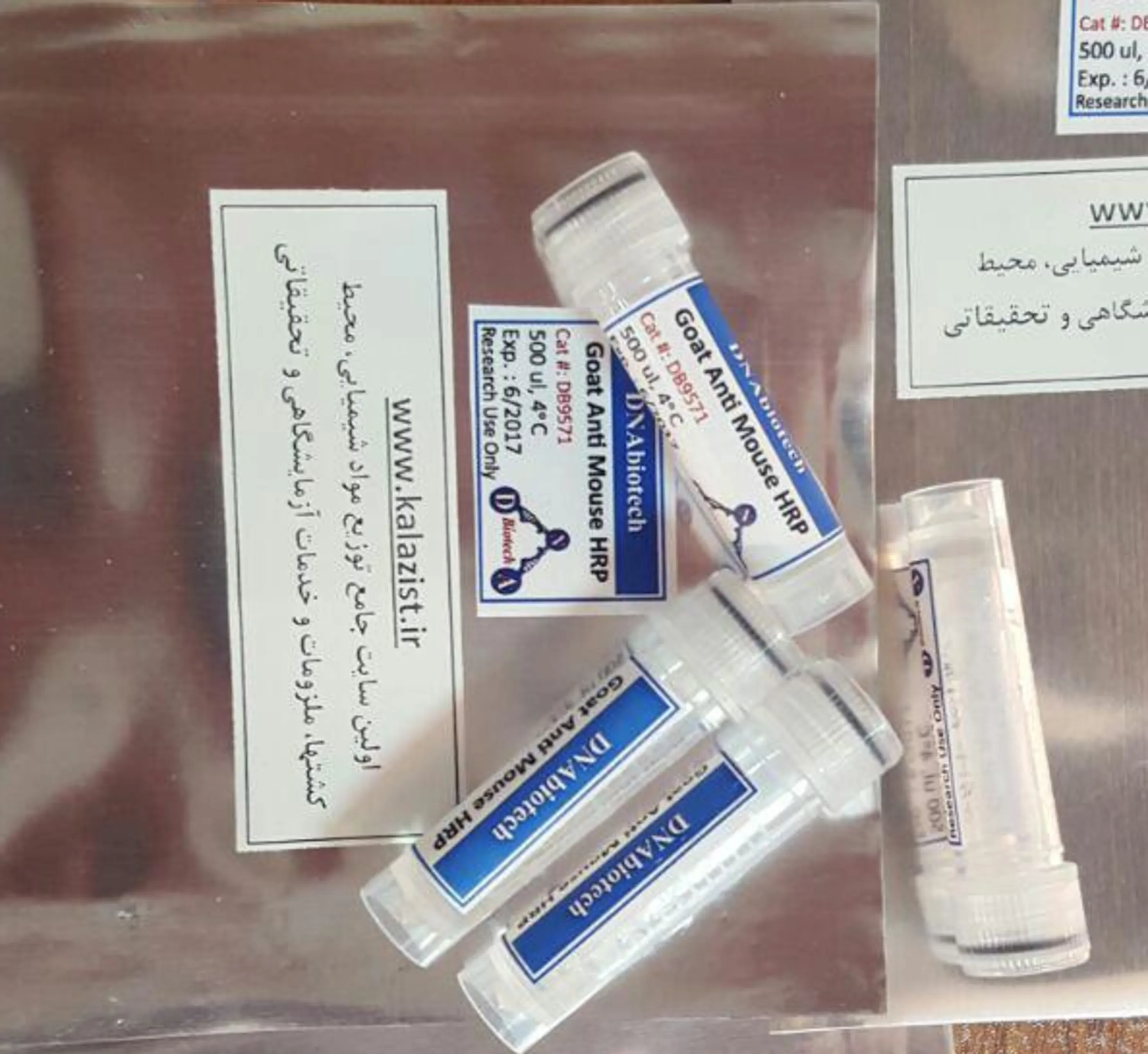 آنتی بادی ثانویه ضد موشHRP kalazist کالازیست